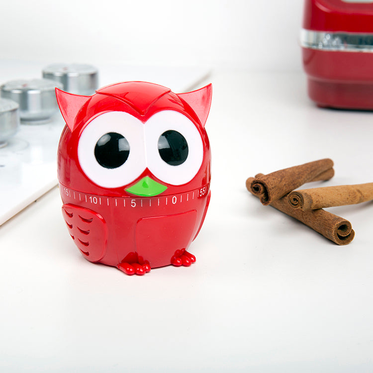 Kikkerland Owlet Küchentimer Eule 60 Minuten