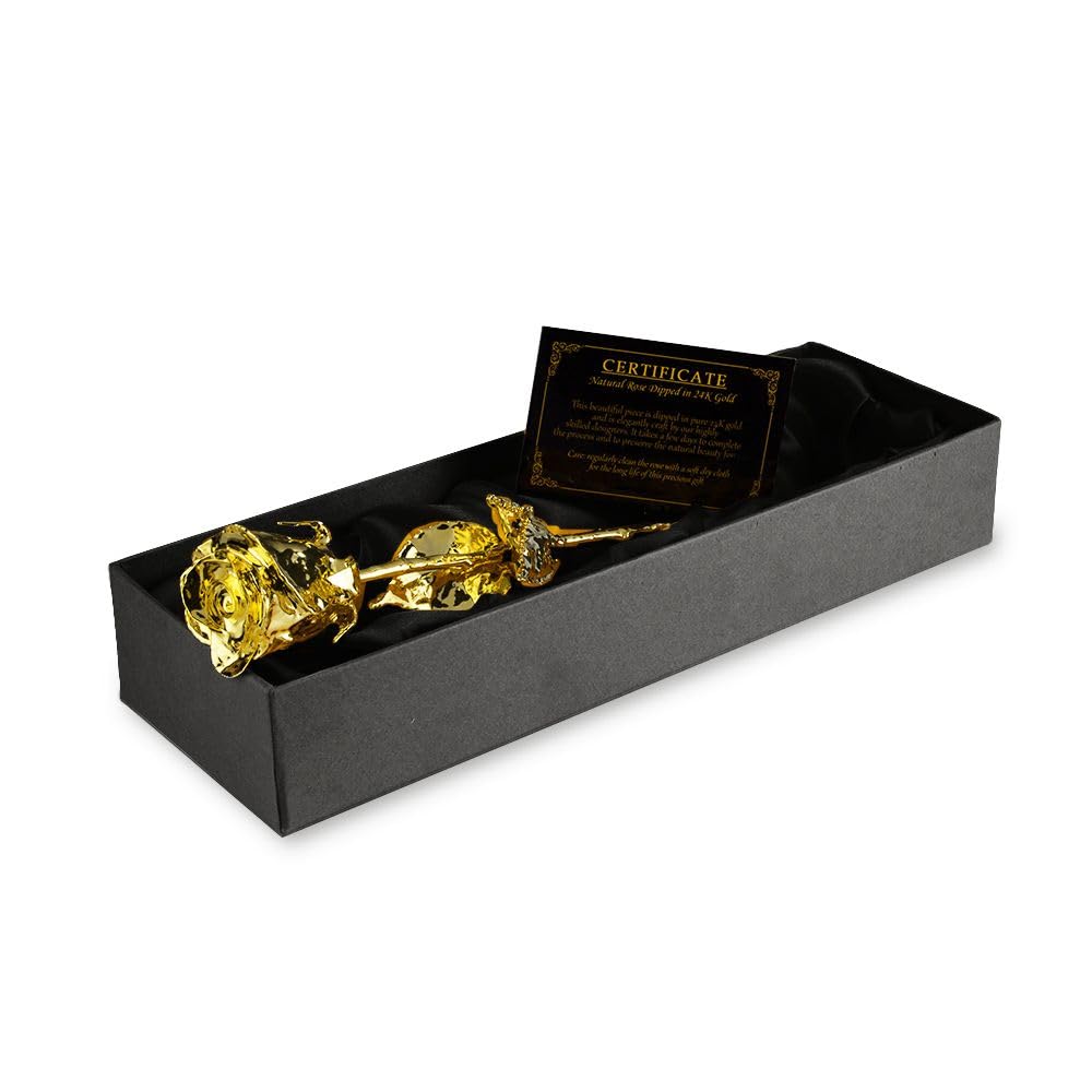 Mikamax Goldene Rose 24K Geschenk 30cm mit Box