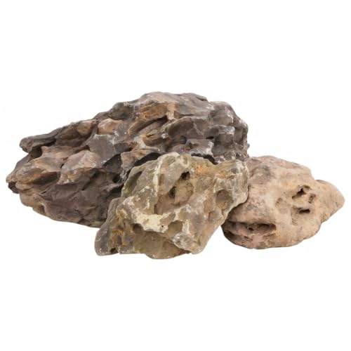 vidaXL Drachensteine 10-40 cm Aquariumsteine Grau 10 kg