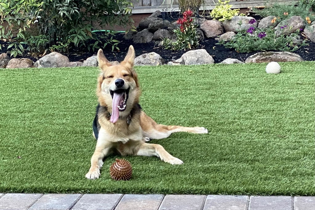 Kikkerland Home Kobe Cow Hundespielzeug Ball Rind