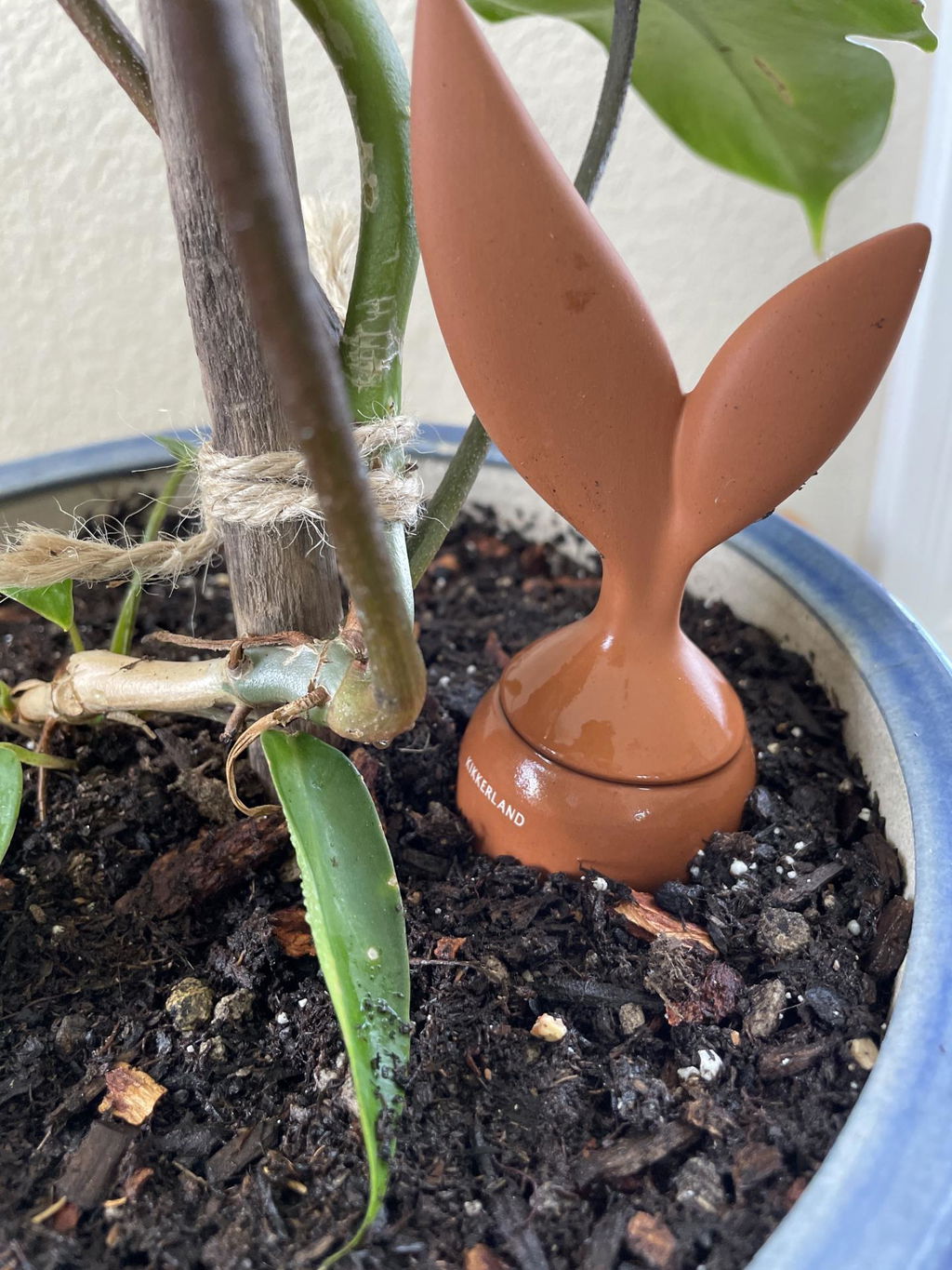 Kikkerland Bewässerungskegel Terracotta Watering Stake Flasche