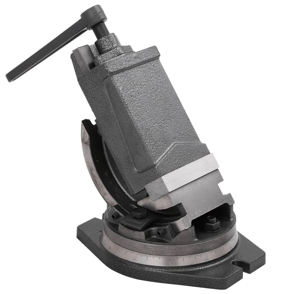 vidaXL Schraubstock 100 mm Gusseisen drehbar kippbar