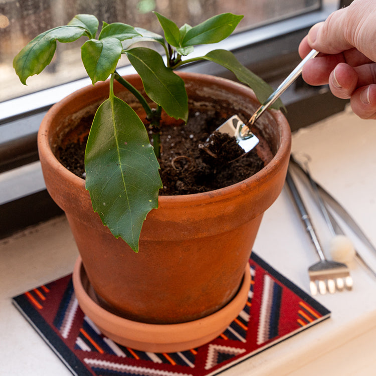 Kikkerland Mini Garden Tools Terrarium Set 4-tlg Edelstahl