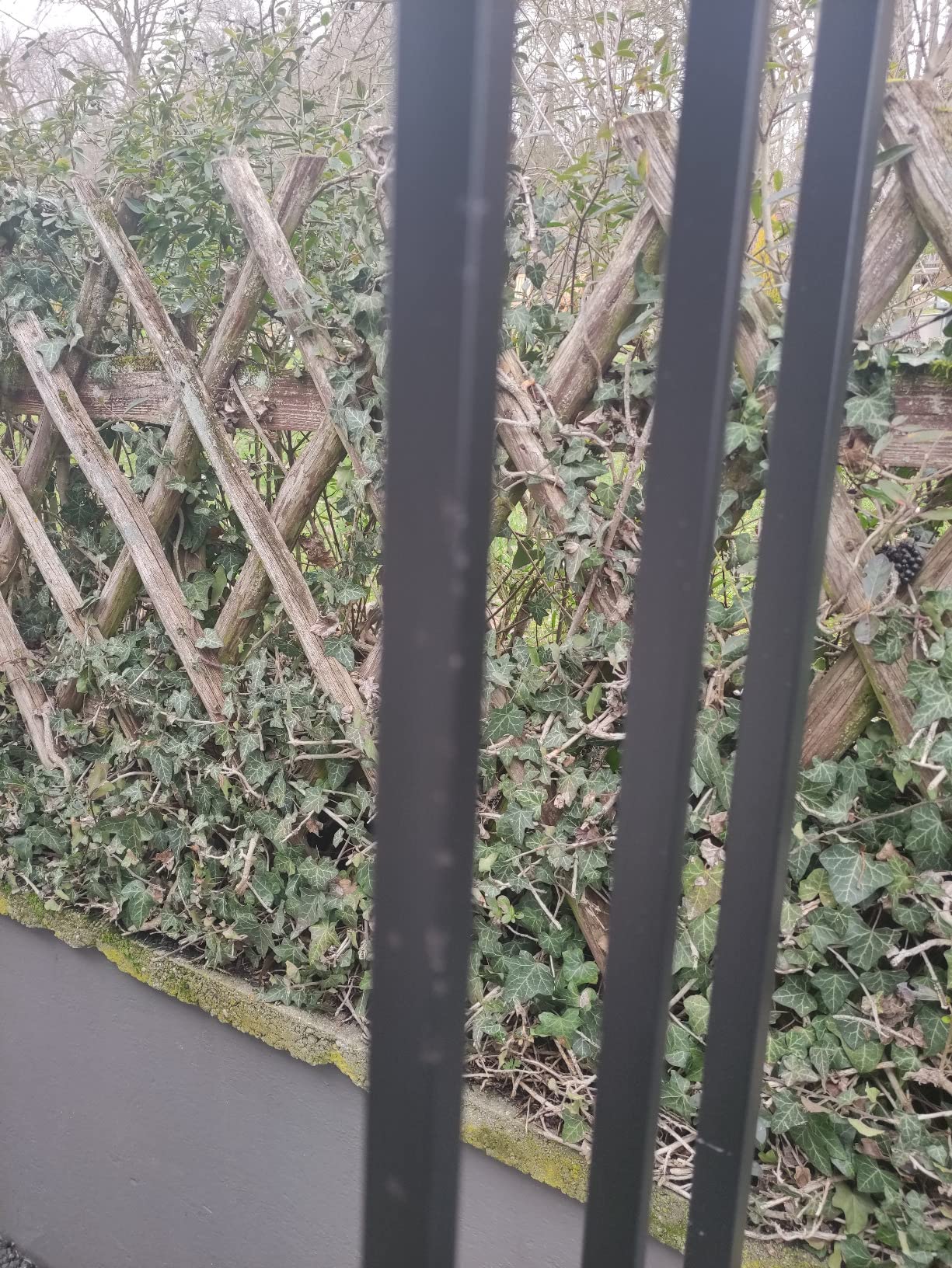 vidaXL Rosenbogen mit Bank Gartenbogen Eisen Schwarz 128 cm