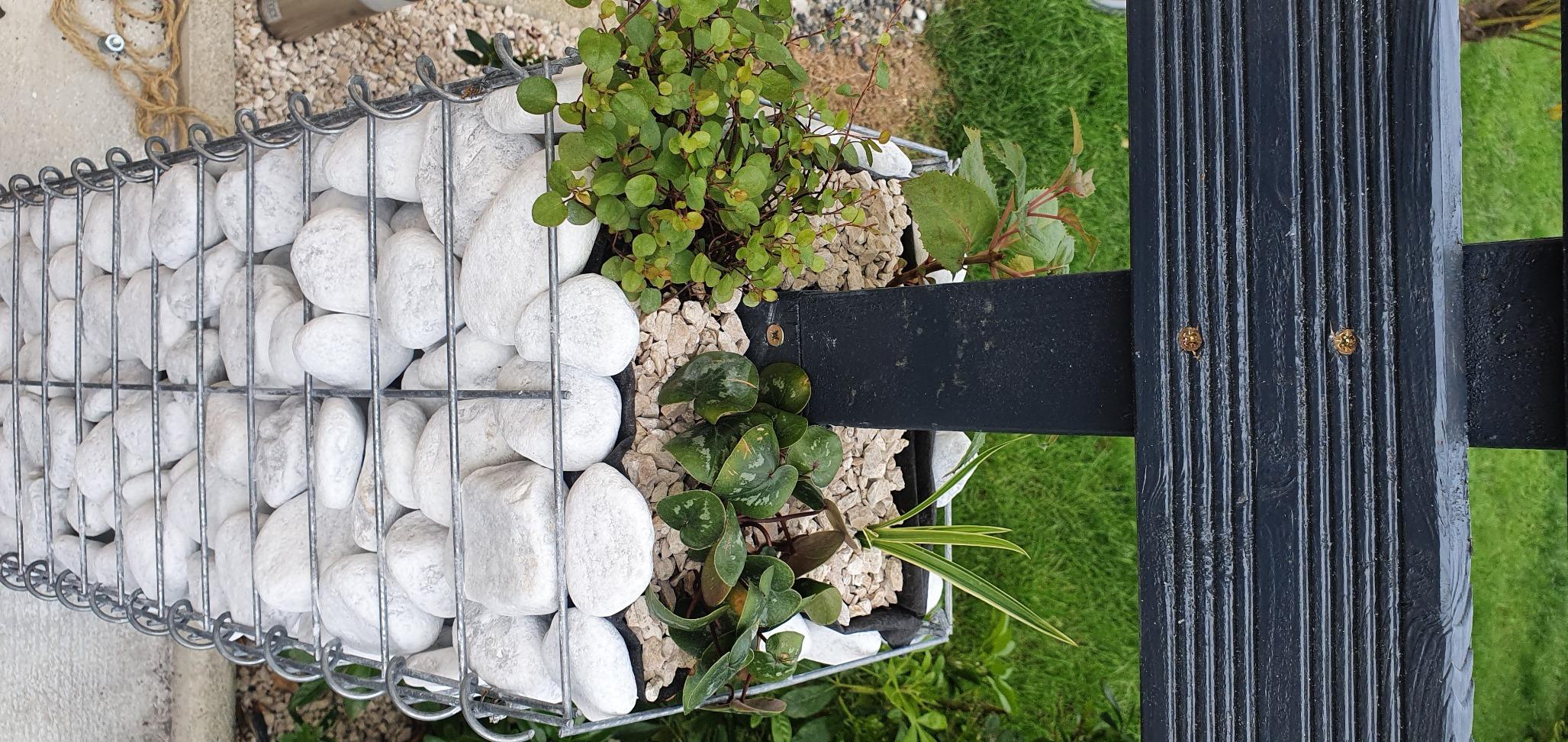 vidaXL Heim & Garten Gabione 25x25x50 cm Steinkorb 3er Set verzinkt