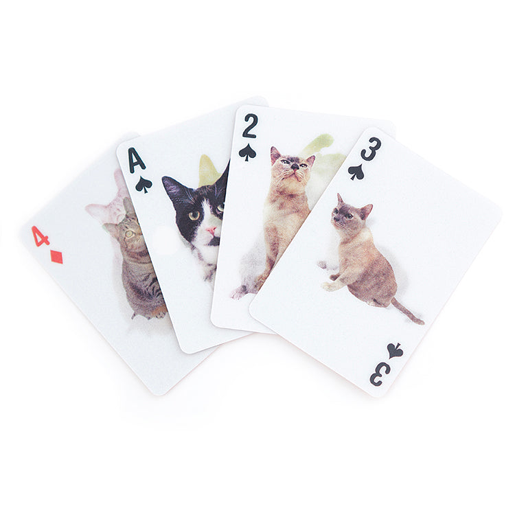 Kikkerland Play Cat 3D Spielkarten Katzen Poker
