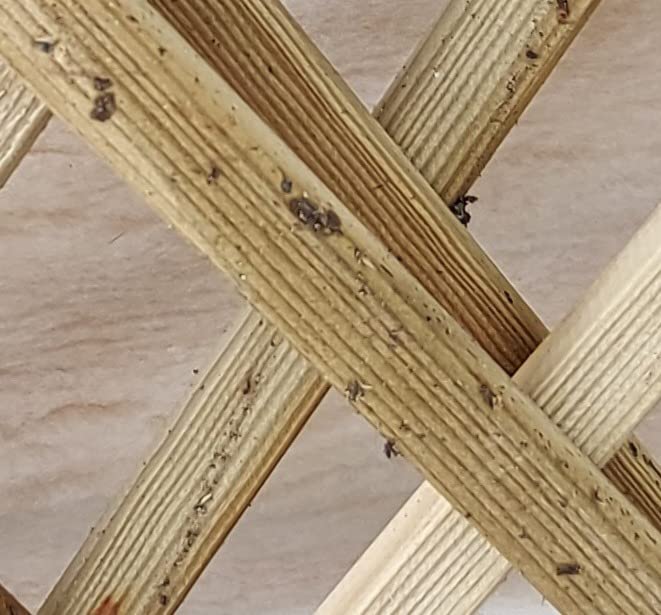 vidaXL Heim & Garten Eckpergola 130x130x197 Kiefer Bank
