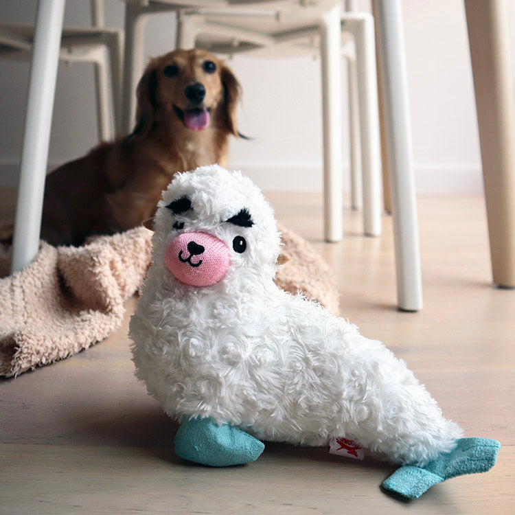 Kikkerland Home Kobe Seal Hundespielzeug Robbe mit Quietscher
