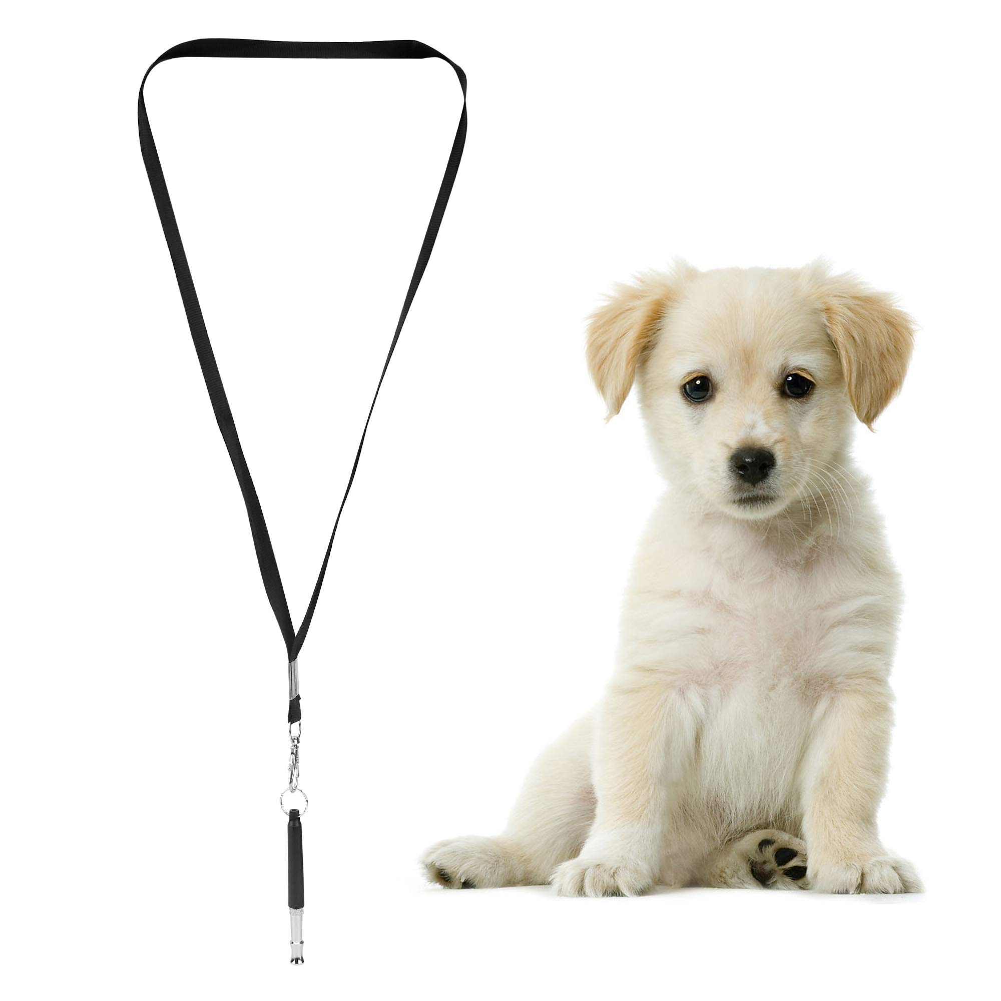 Intirilife Hundepfeife Trainingspfeife Schwarz Edelstahl 8 cm