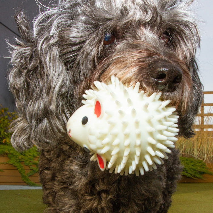 Kikkerland Kobe Sheep Hundespielzeug Ball Lamm-Duft