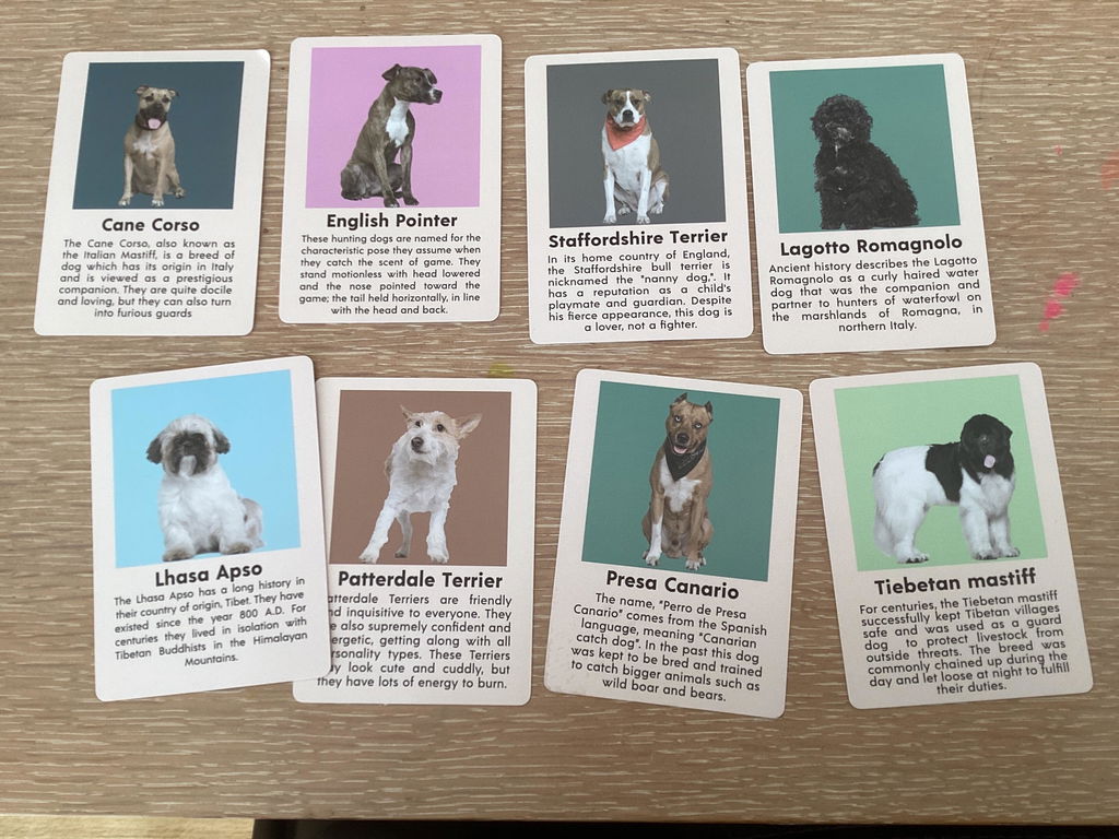 Kikkerland Play Dog Bingo Gesellschaftsspiel 54 Rassen