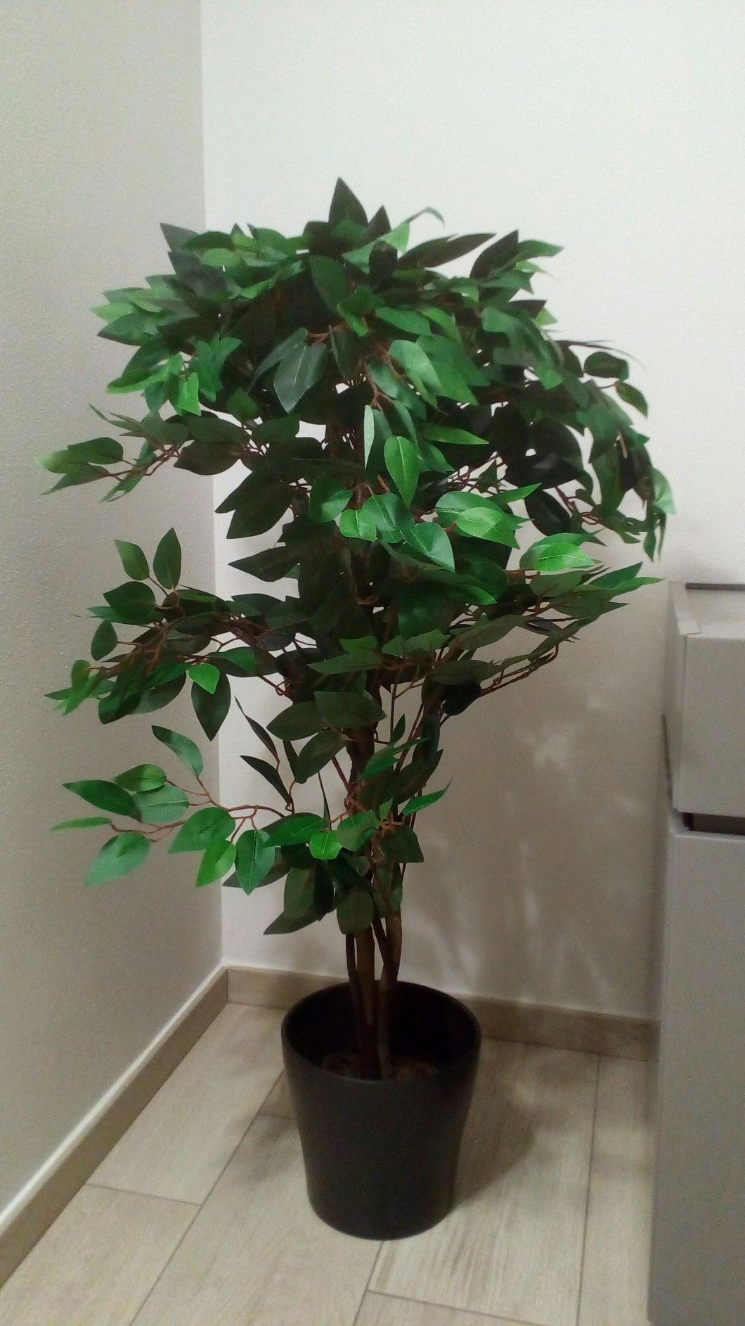 vidaXL Zwerg-Ficus Kunstpflanze 60 cm mit Topf 420 Blätter