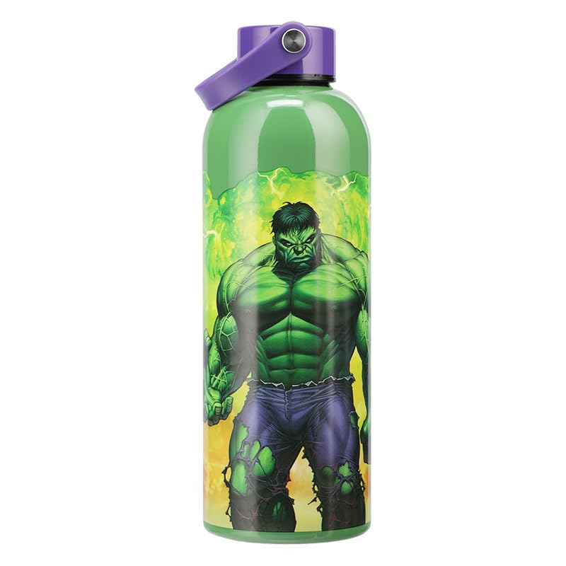Paladone Marvel Hulk Trinkflasche Metall isoliert Geschenk