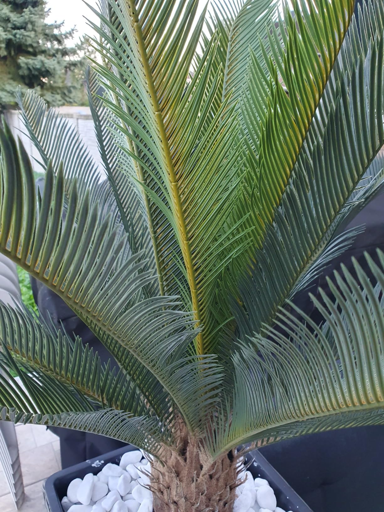 vidaXL Cycas-Palme Kunstpflanze Grün 90 cm mit Topf