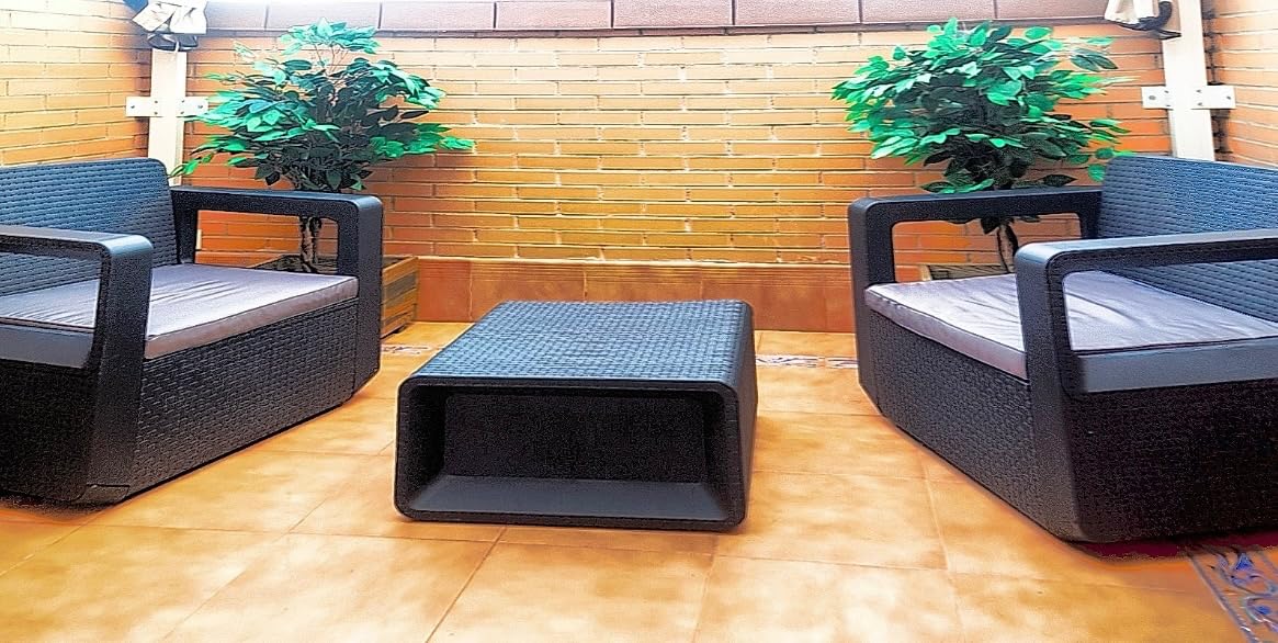 vidaXL Zwerg-Ficus Kunstpflanze 60 cm mit Topf 420 Blätter
