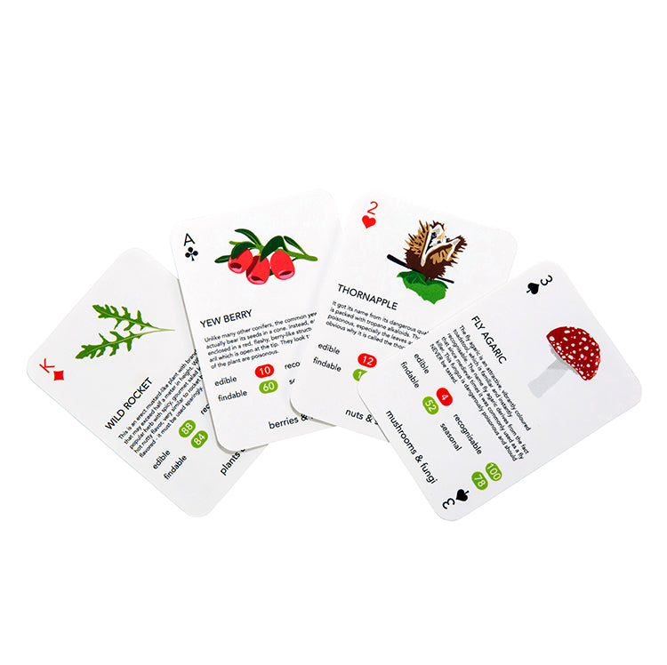 Kikkerland Play Foragers Spielkarten Pilze Top Trumps
