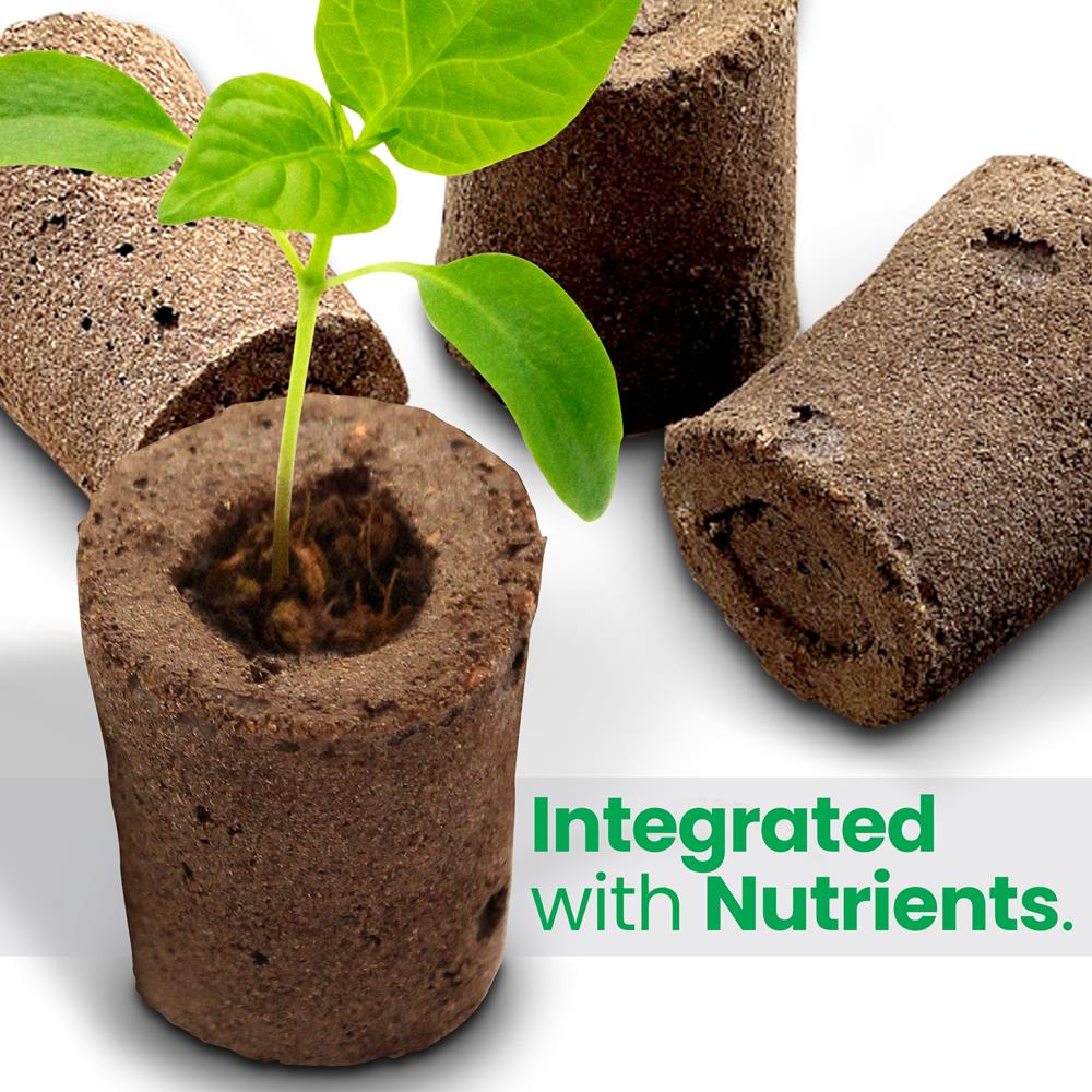 Serenelife Indoor Garden Pods 10er Anzucht schadstofffrei