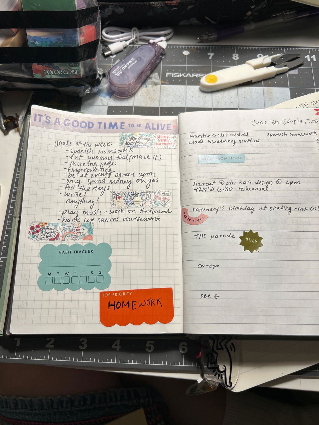 Kikkerland Inkerie Planner Sticker Kalenderaufkleber 450 Stück bunt