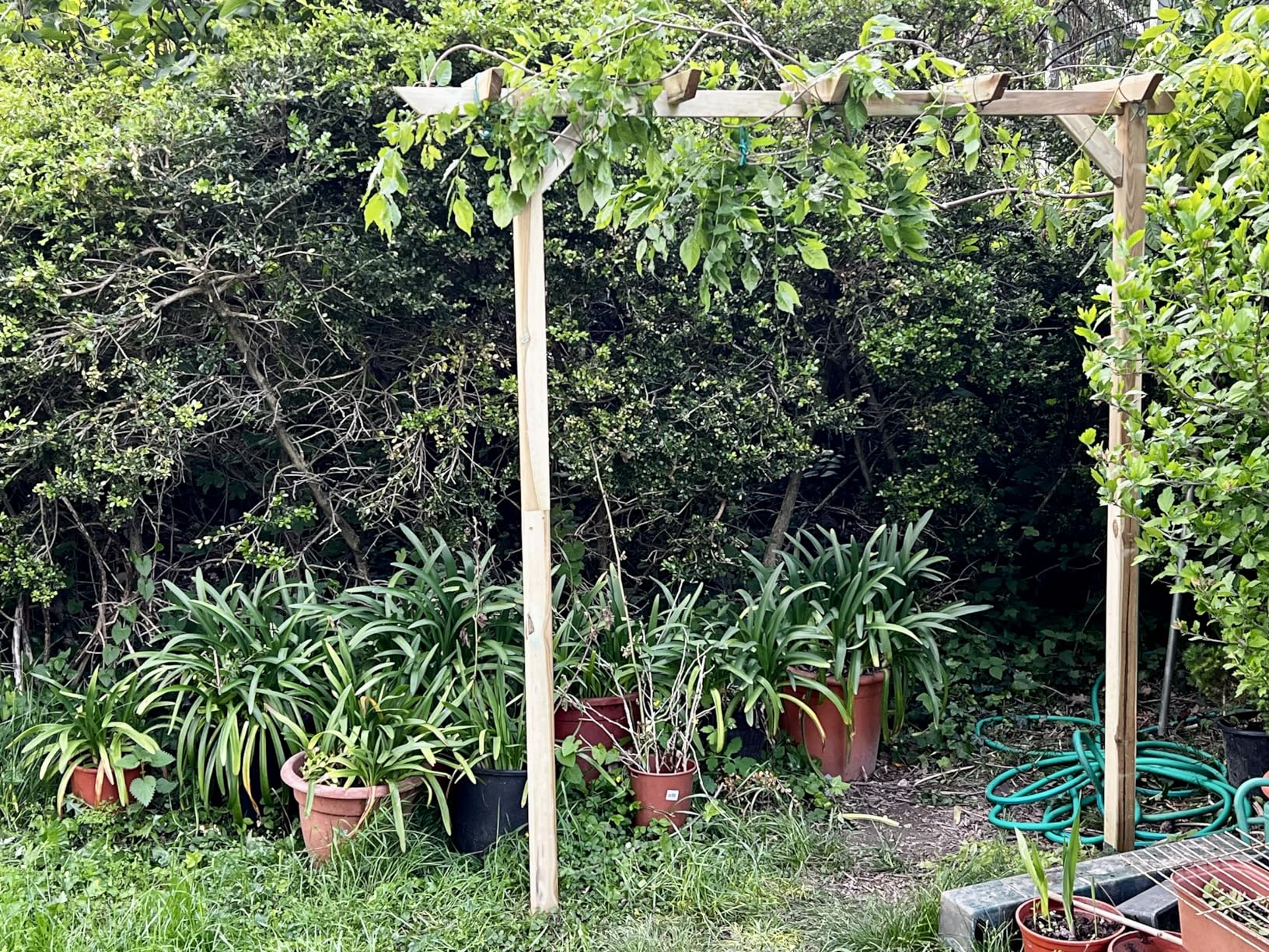 vidaXL Gartenlaube Holz Pergola 200x40x205cm Rosenbogen
