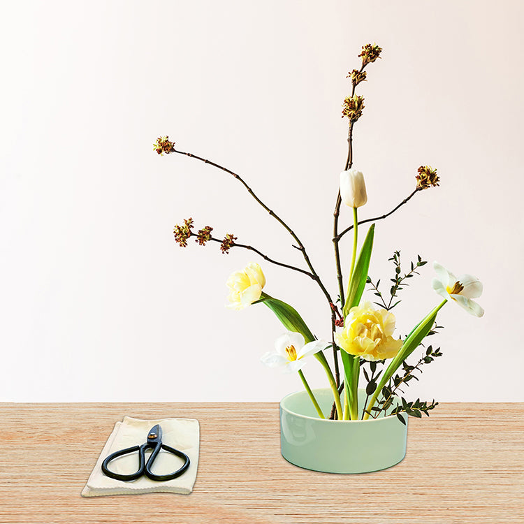 Kikkerland Home Mini Ikebana Kit Blumenset 4-teilig