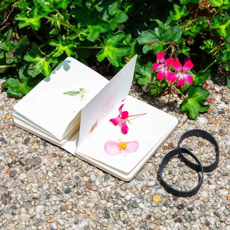 Kikkerland Home Field Flower Press Blumenpresse tragbar