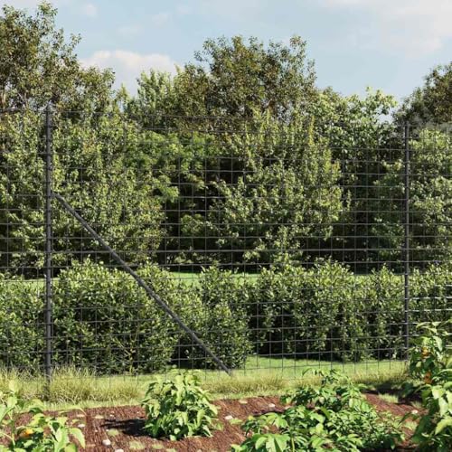 vidaXL Heim & Garten Maschendrahtzaun 2x10 m Anthrazit 100 mm