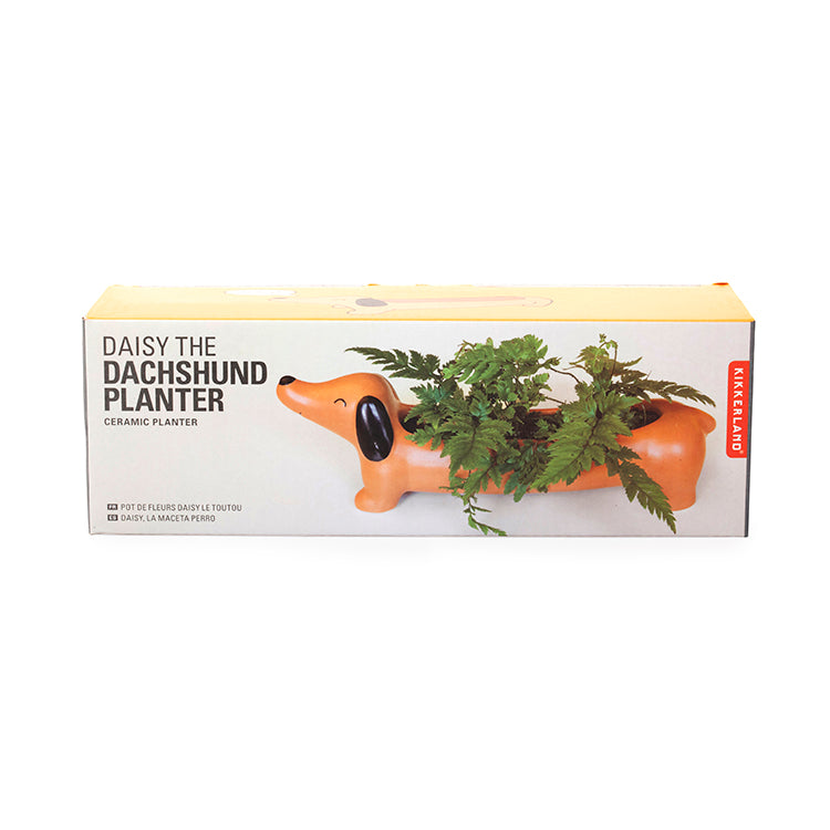 Kikkerland Home Daisy Dachshund Planter Blumentopf Porzellan