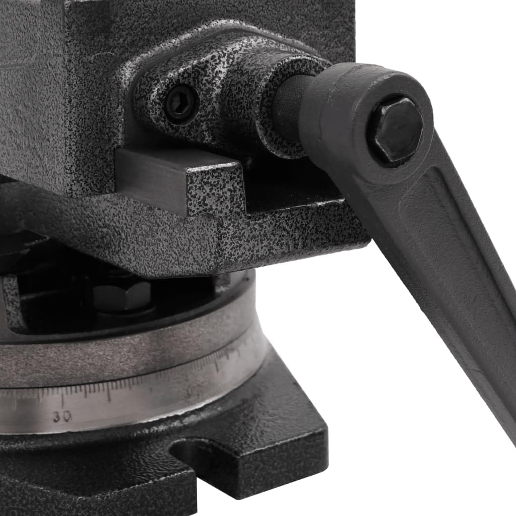 vidaXL Schraubstock 100 mm Gusseisen drehbar kippbar