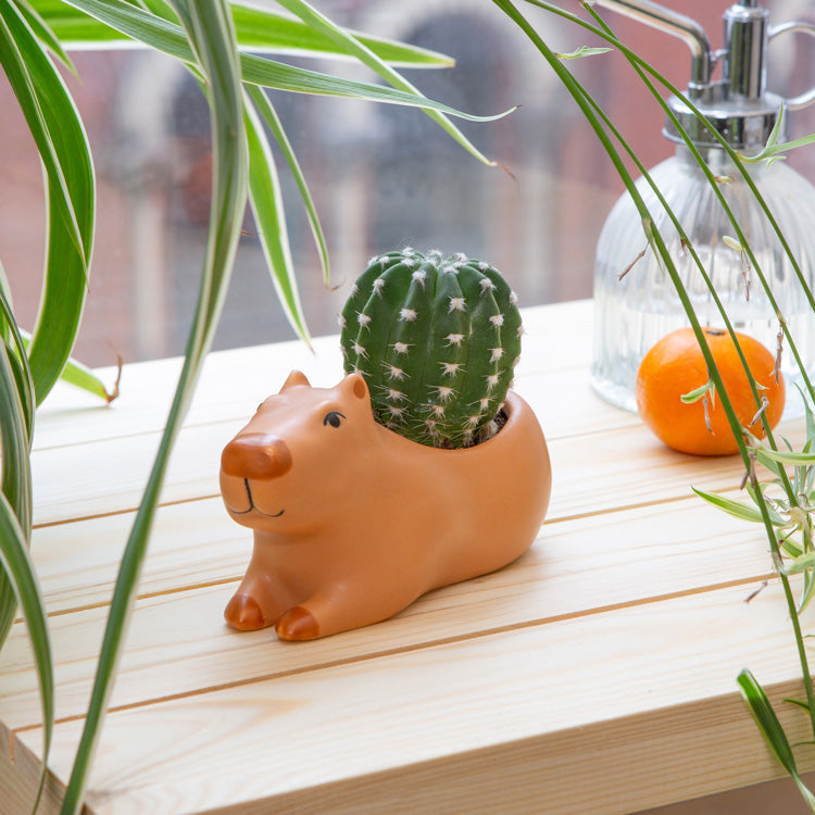 Kikkerland Home Cappy Capybara Pflanztopf Klein Keramik