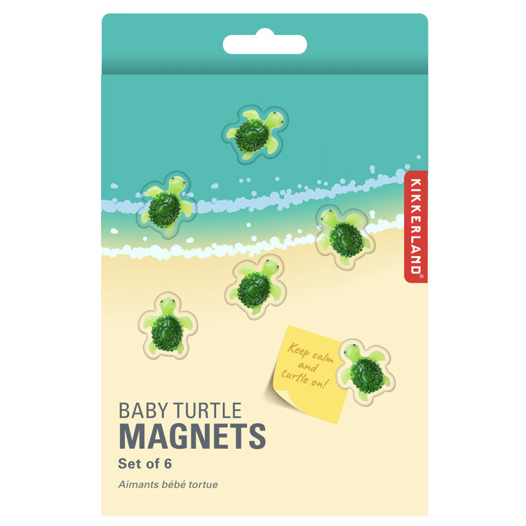 Kikkerland Home Magnete Schildkröte 6 Stück Baby Turtle