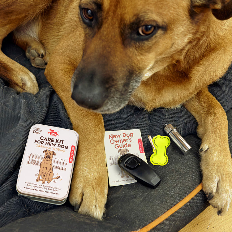 Kikkerland Home Kobe Welcome Dog Kit Hund Dose 5-teilig