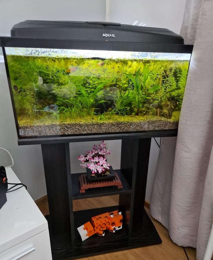 vidaXL Aquariumständer Weiß 60x30x60 cm Holzwerkstoff Unterschrank