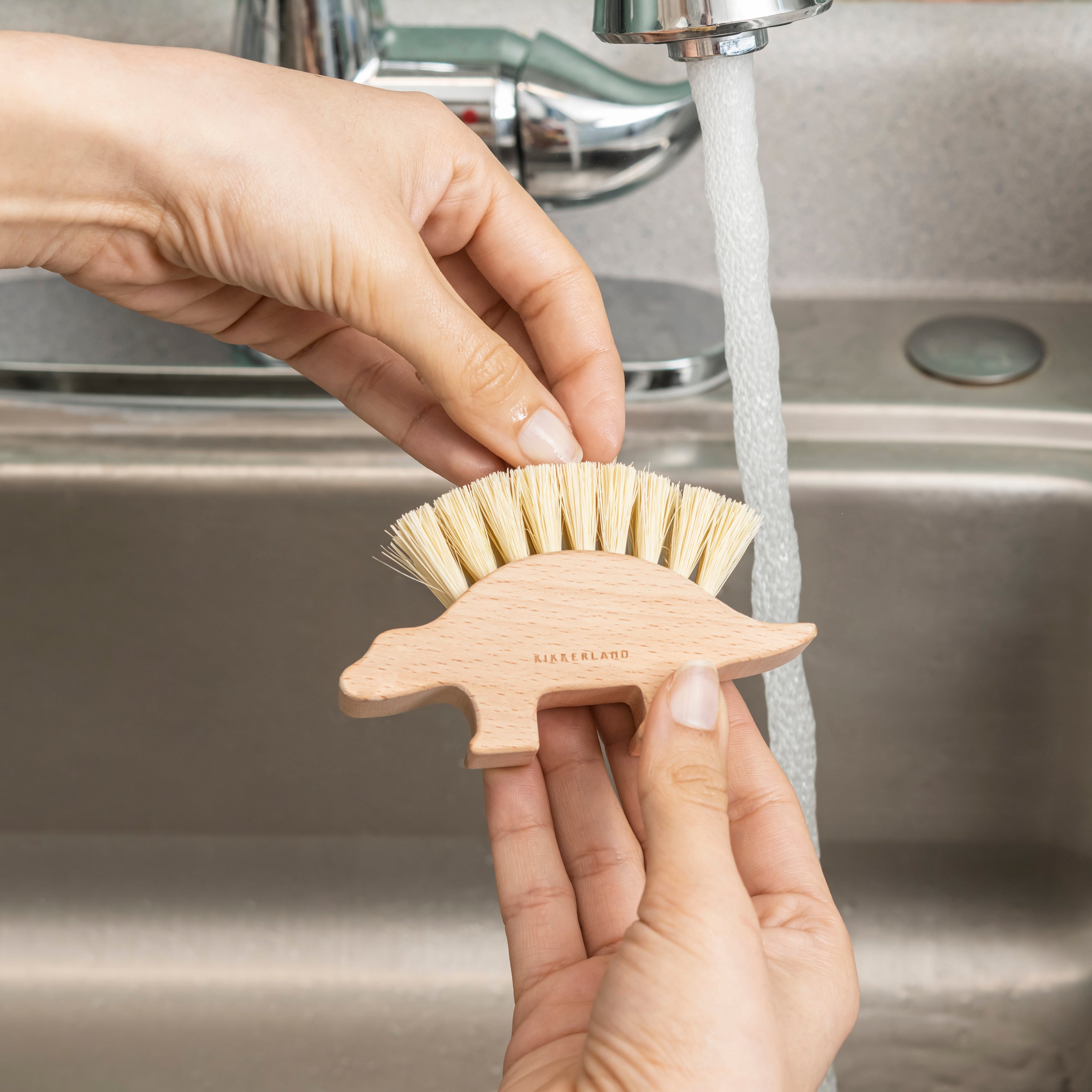 Kikkerland Tools Dino Nagelbürste plastikfrei Pflanzenborsten