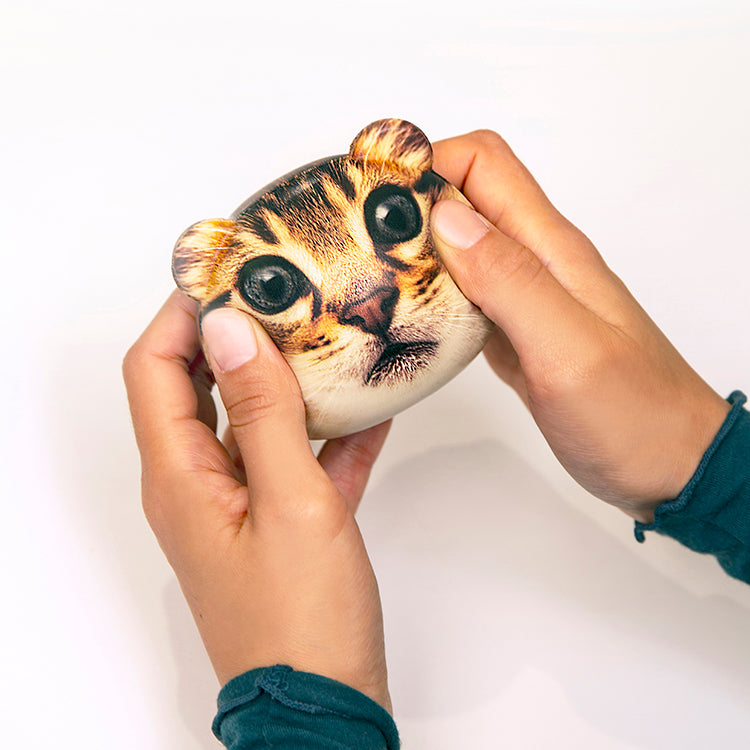 Kikkerland Home Feline Fine Stressball Katze Anti-Stress