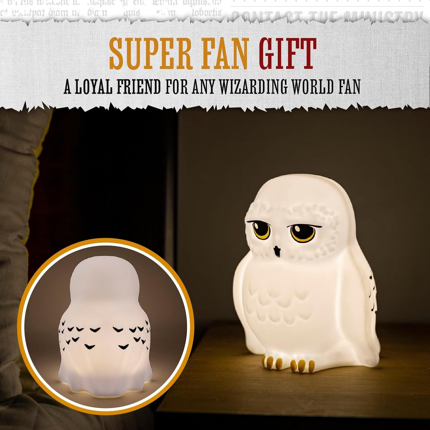 Paladone Lighting Harry Potter Hedwig Nachtlicht Eule Batterie