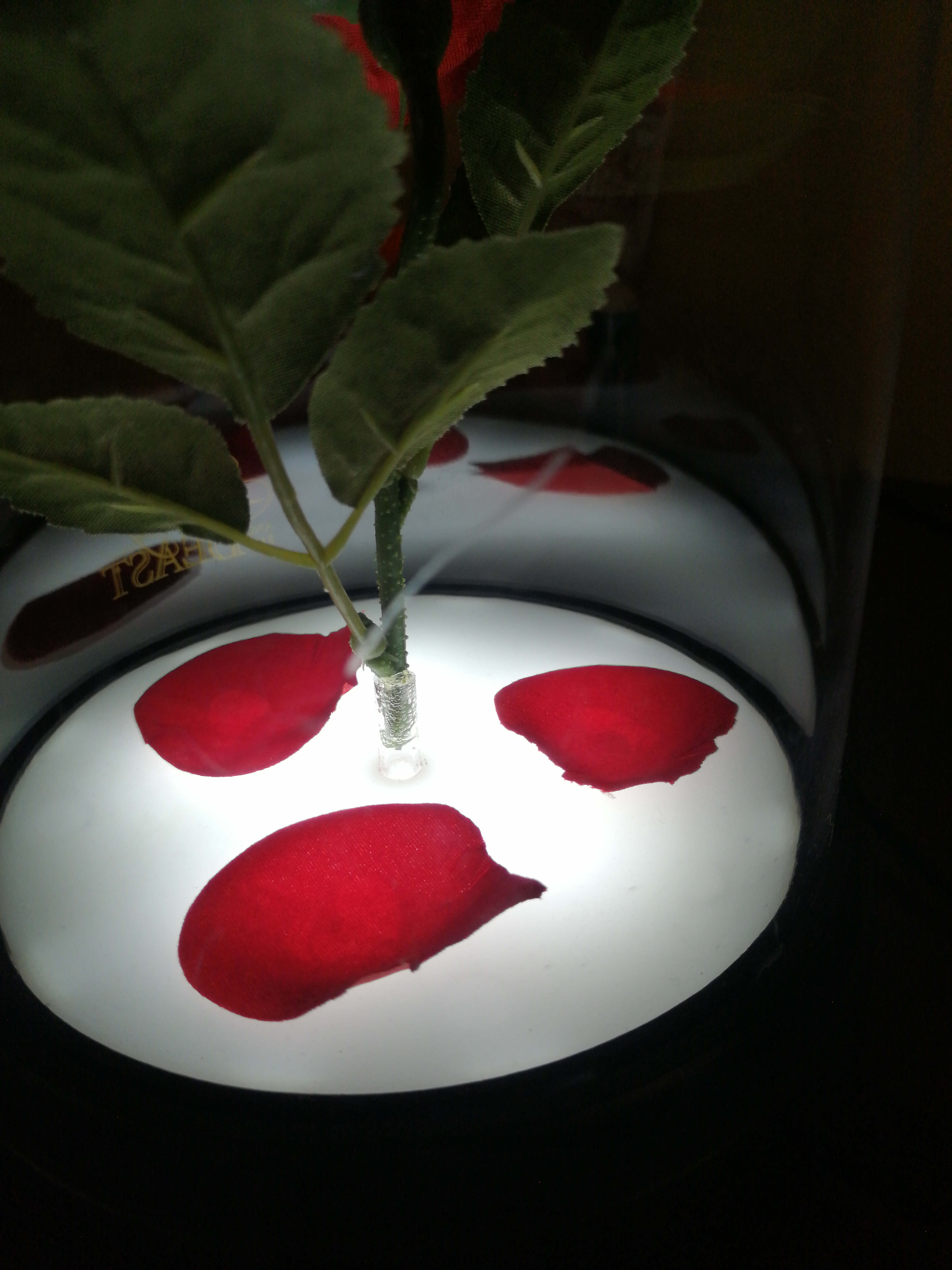 Paladone Disney Rose Lampe Touch USB Batterie Biest