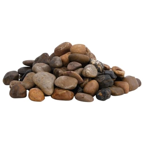 vidaXL Polierte Kiesel Mehrfarbig 2-5 cm Deko 10 kg