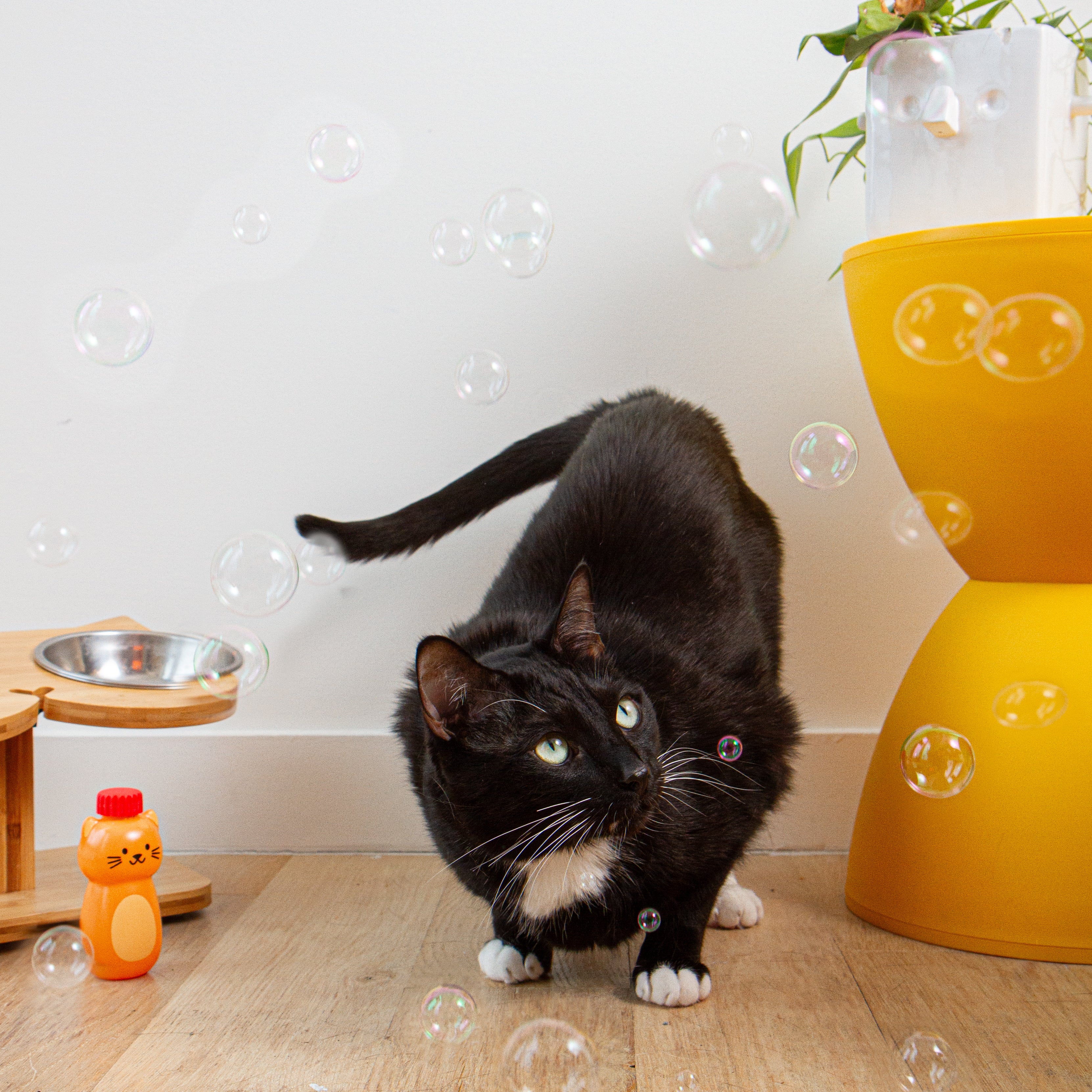 Kikkerland Play Kiko Catnip Bubbles Katzen Seifenblasen