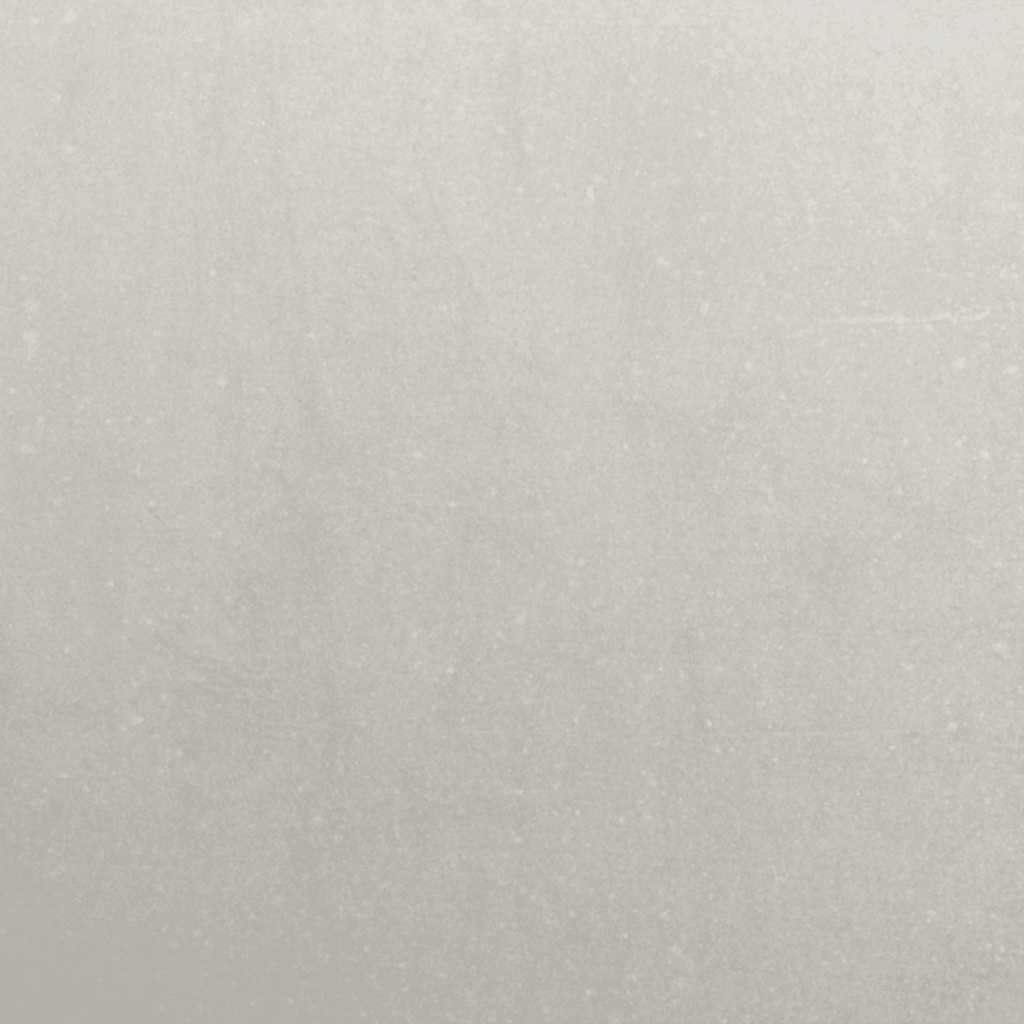 vidaXL Heim & Garten Raseneinfassung 20x103 cm Silber 10 Stk.