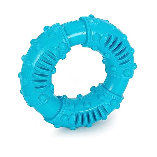 Intirilife Kauring Hundespielzeug Gummi Blau 12,5 cm bissfest