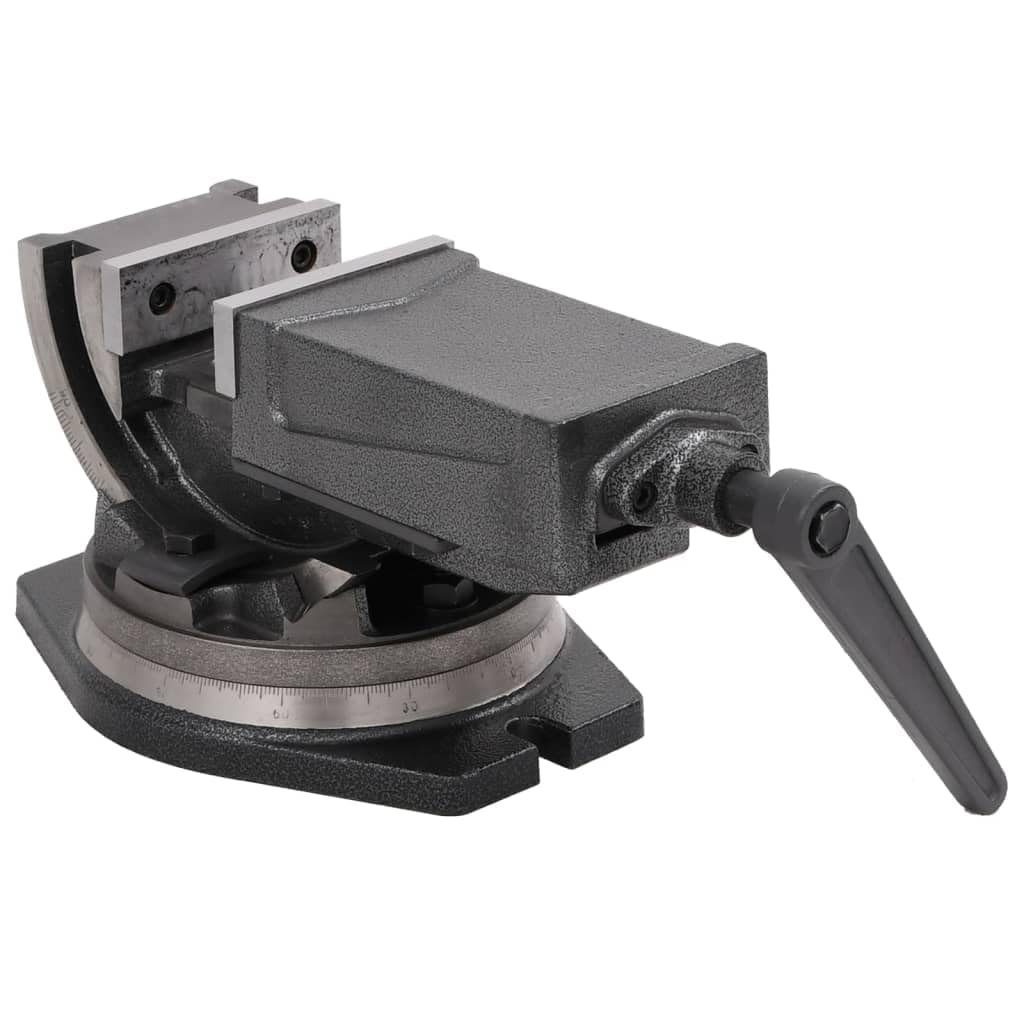 vidaXL Schraubstock 100 mm Gusseisen drehbar kippbar