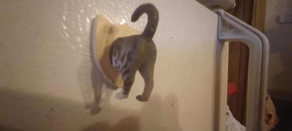 Kikkerland Home Cat Butt Magnete 6er Set Katzenmotive
