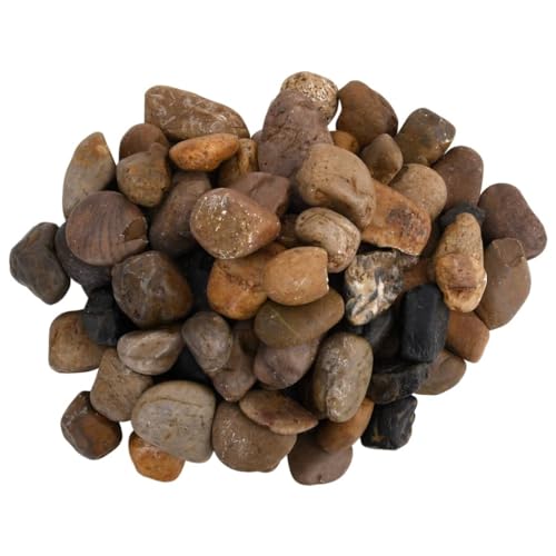 vidaXL Polierte Kiesel Mehrfarbig 2-5 cm Deko 10 kg