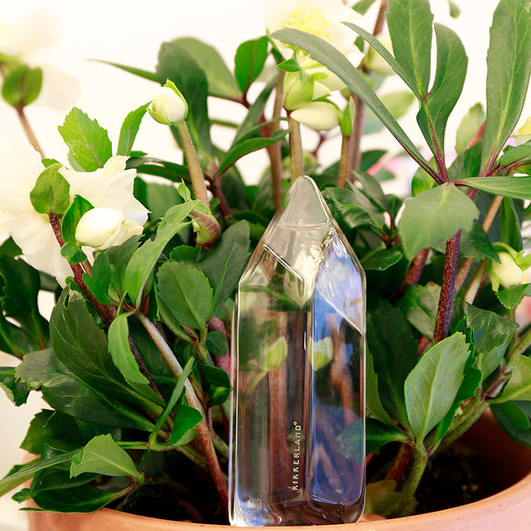 Kikkerland Home Water From A Crystal Bewässerungskugel Glas