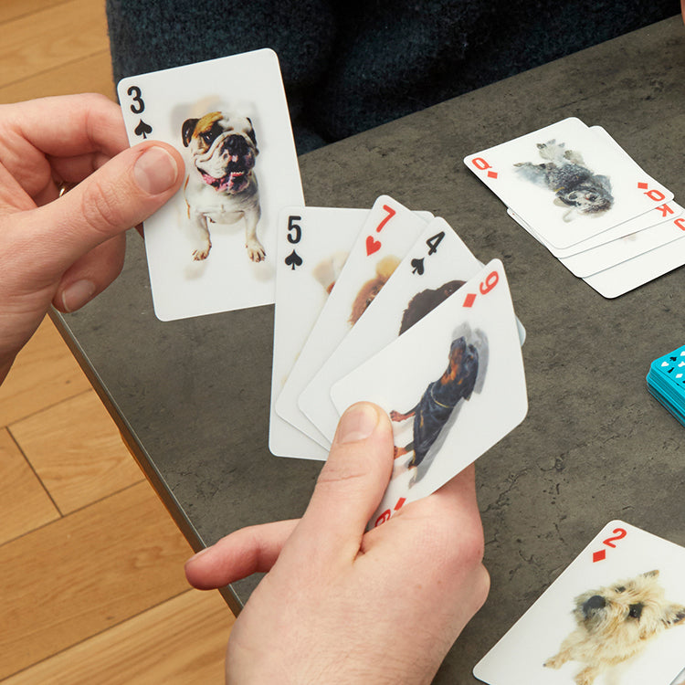 Kikkerland Play Dog 3D Spielkarten Pokerformat 52 Hunde