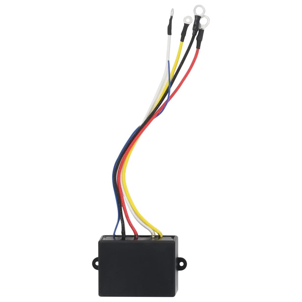 vidaXL Heim & Garten Funkfernbedienung Winde 12V 2 Stk