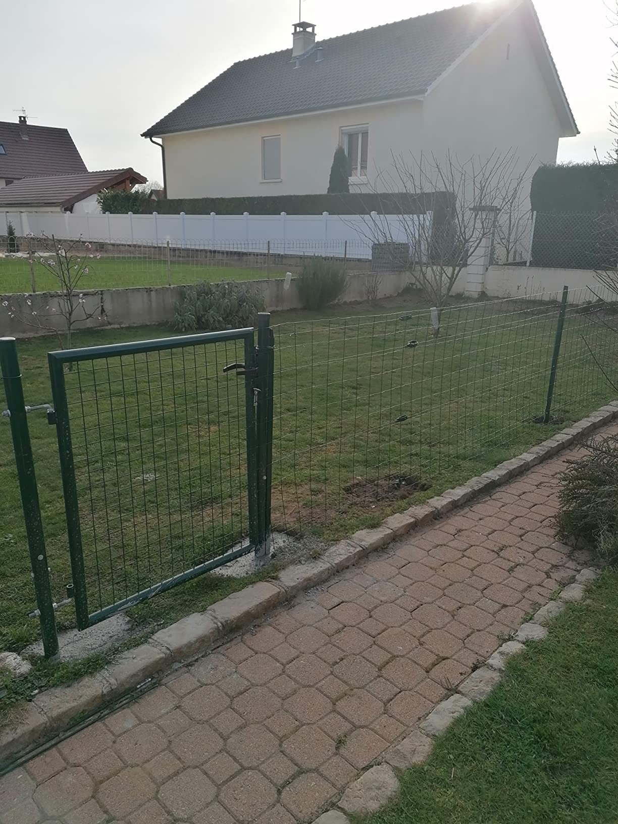 vidaXL Heim & Garten Gartentor Stahl 100x150 cm dunkelgrün