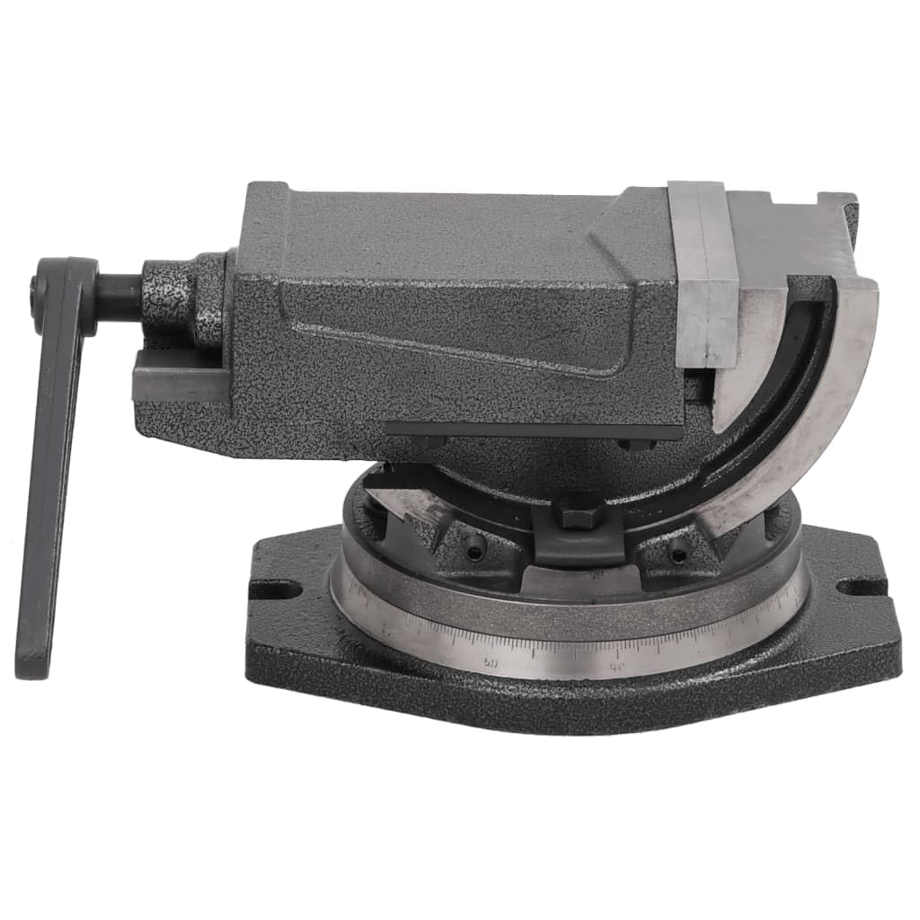 vidaXL Schraubstock 100 mm Gusseisen drehbar kippbar