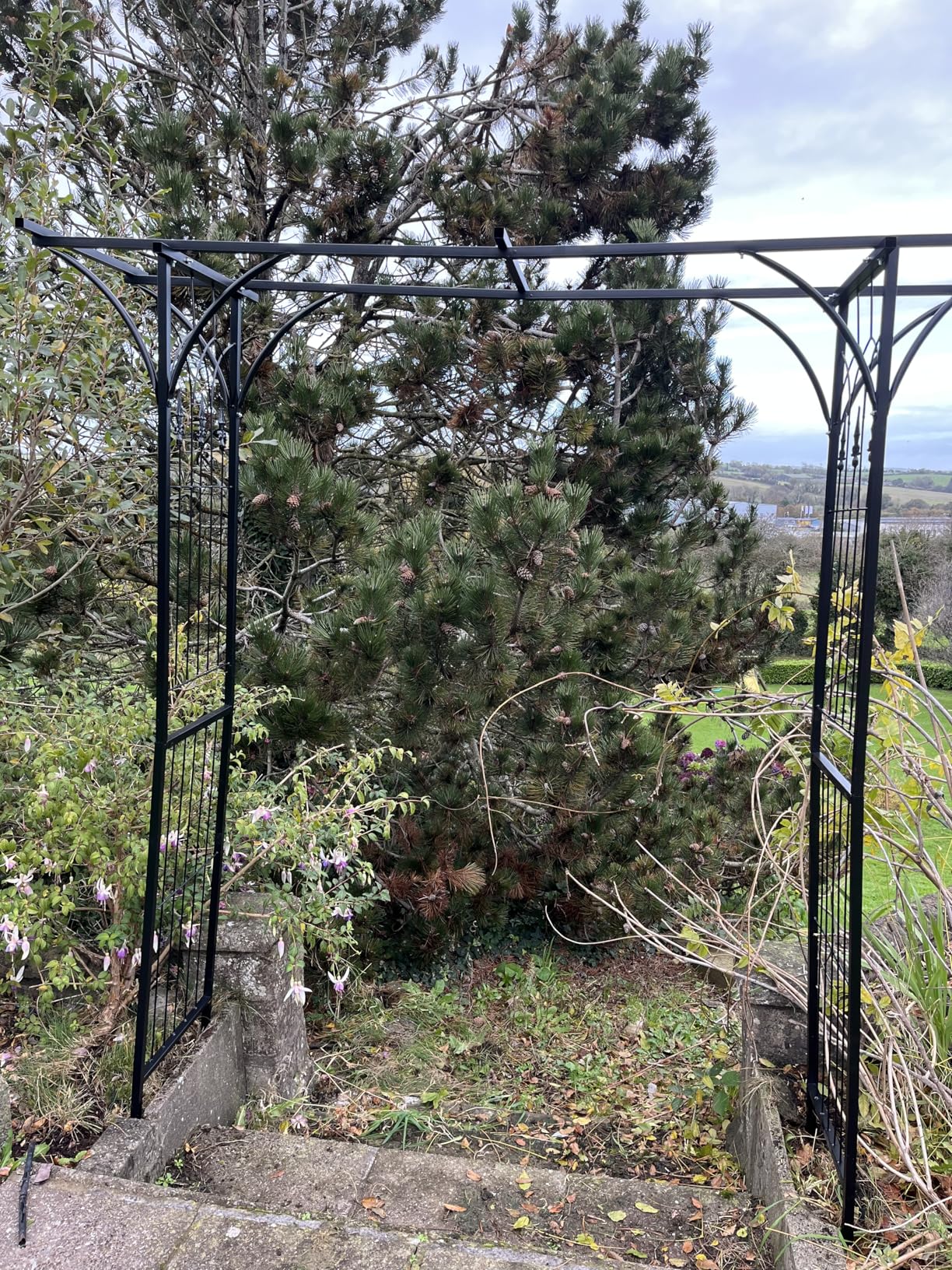 vidaXL Gartenbogen Eisen 200 x 204 cm schwarz