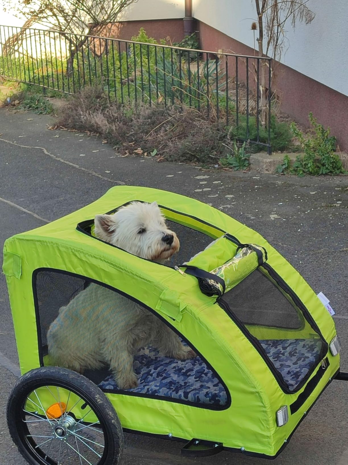 vidaXL Tierbedarf Fahrradanhänger Hunde Grün Oxford Eisen